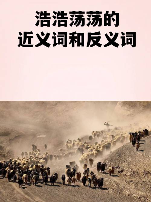 2鶄&amp;;.b|)愤的简单介绍-开云体育下载